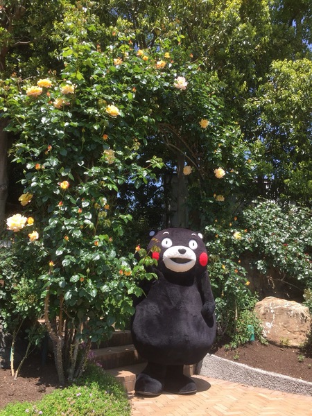 なばなの里 132.JPG